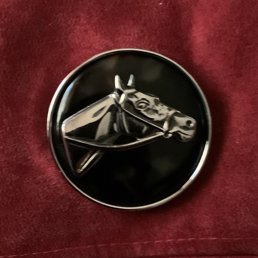 Horse Brooch…